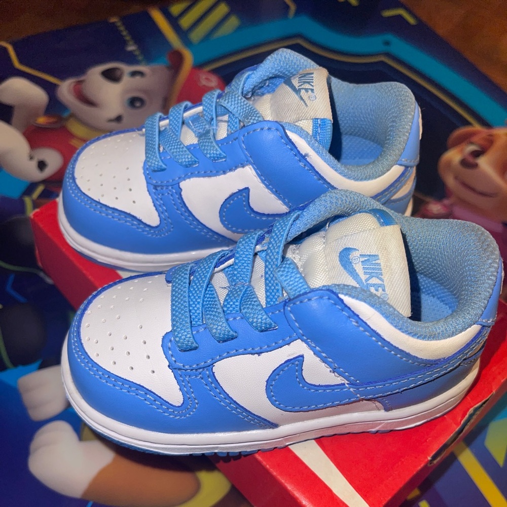 Nike Dunks